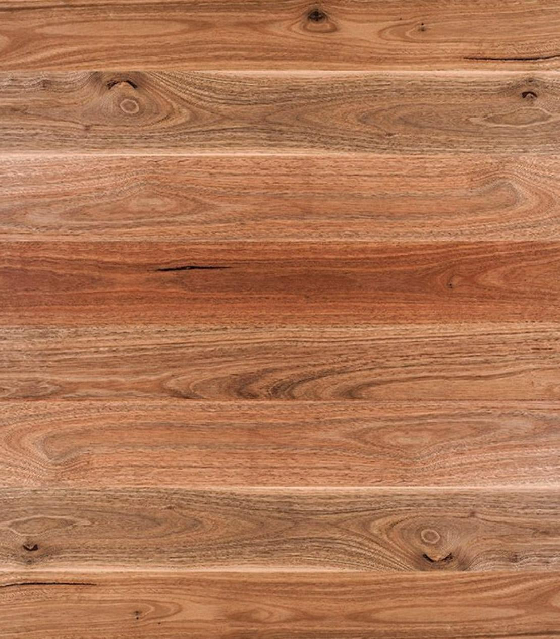 Spotted Gum
